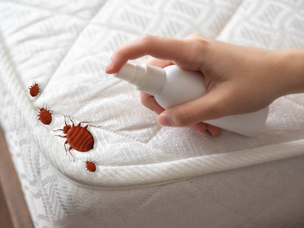 Real Estate Pest Inspections in Mendota Heights, MN